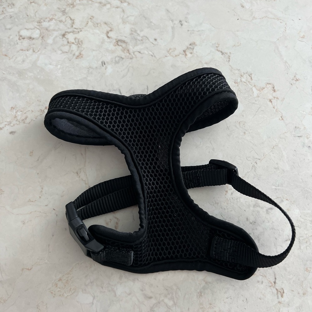 Black Small Mesh Dog Harness
